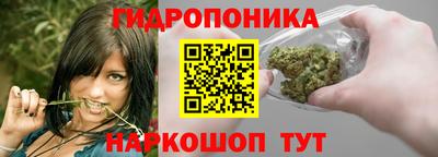 apvp Балашиха